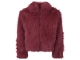 D Zine 3313101 W20200 Rood bordo