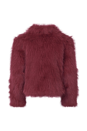 D Zine 3313101 W20200 Rood bordo