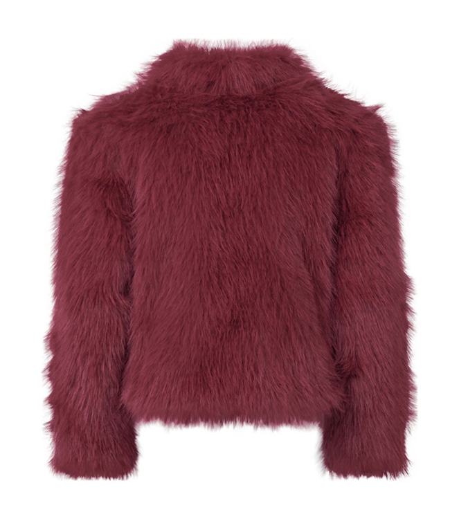 D Zine 3313101 W20200 Rood bordo