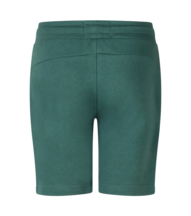 Ravagio Ailas Z10241 Groen mos