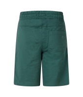 Ravagio Anwar Z10303 Groen