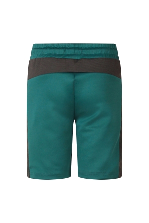 Unlocked 3217203 Z10272 Groen donker