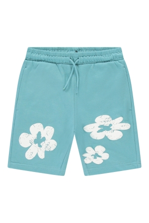 Cars jeans 53244 Groen ijs