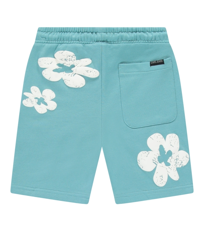 Cars jeans 53244 Groen ijs