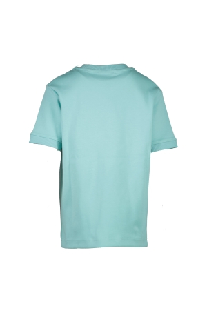 Cars jeans 51779 Groen ijs