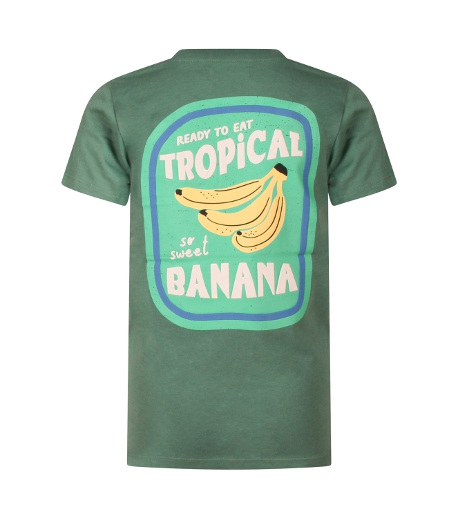 Unlocked Benaiah Z10345 Groen mos