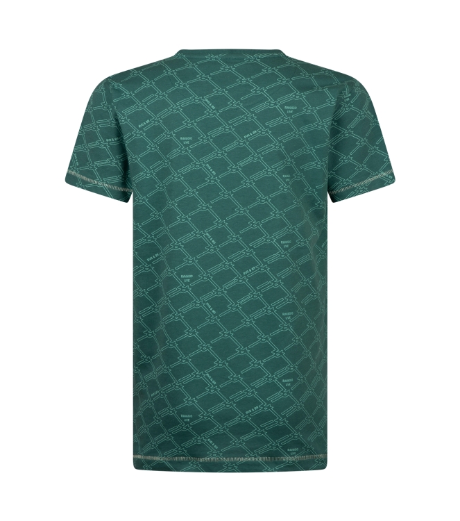 Ravagio Aviv Z10214 Groen