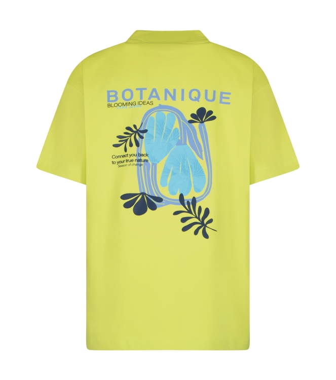 Cars jeans 51071 Groen lime