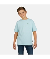 Cars jeans 51071 Groen ijs
