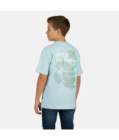 Cars jeans 51071 Groen ijs