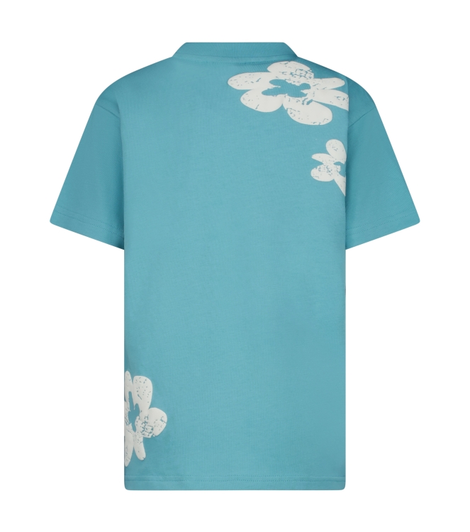 Cars jeans 53144 Groen ijs