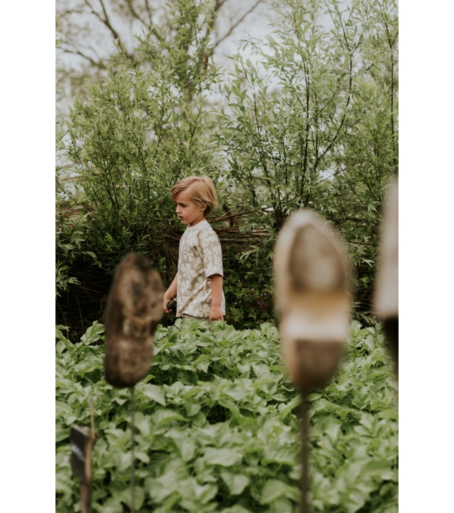 Koko Noko N58850-37 Ecru zand