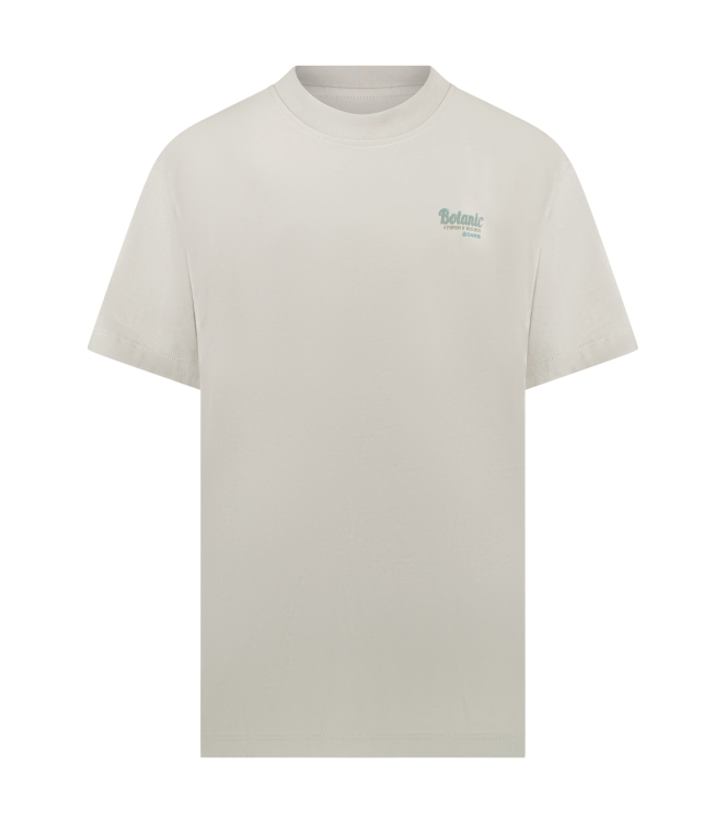 Cars jeans 51071 Grijs licht