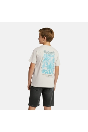 Cars jeans 51071 Grijs licht