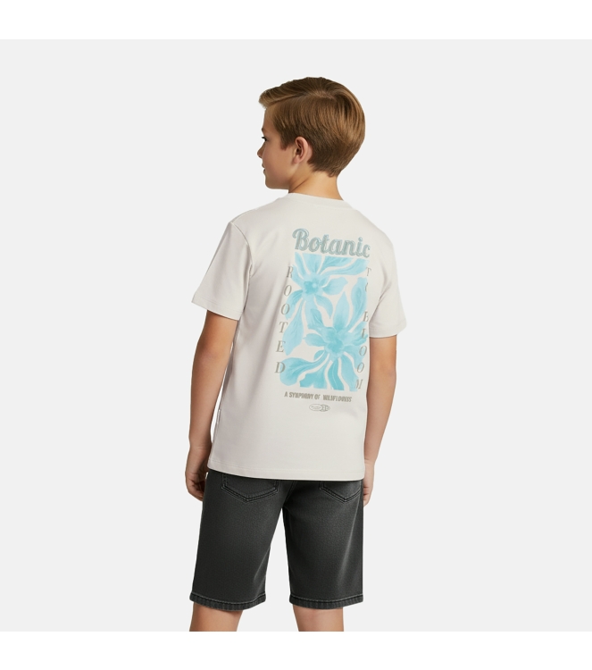 Cars jeans 51071 Grijs licht