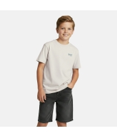 Cars jeans 51071 Grijs licht