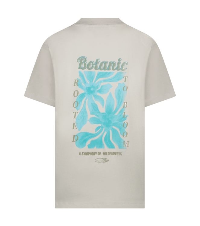 Cars jeans 51071 Grijs licht