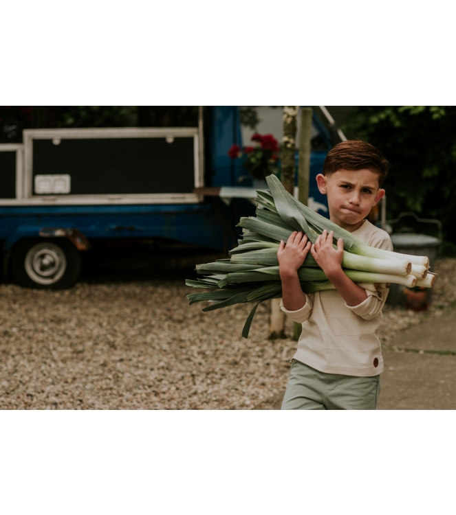 Koko Noko N58843-37 Ecru naturel