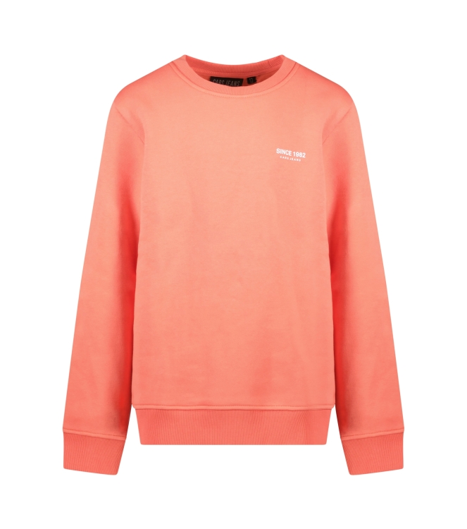 Cars jeans 53285 Grijs licht melee