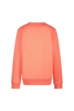 Cars jeans 53285 Grijs licht melee