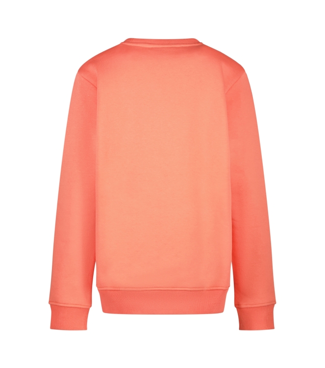Cars jeans 53285 Grijs licht melee