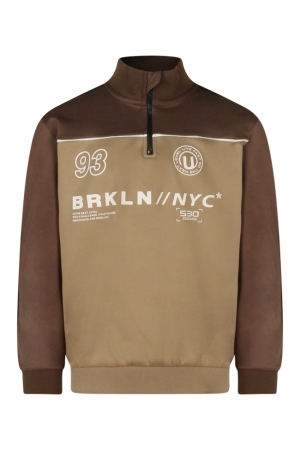 Bruin 