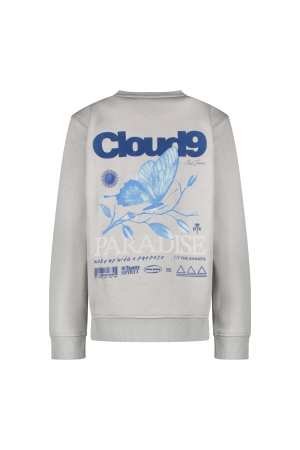 Cars jeans 32865 Grijs midden
