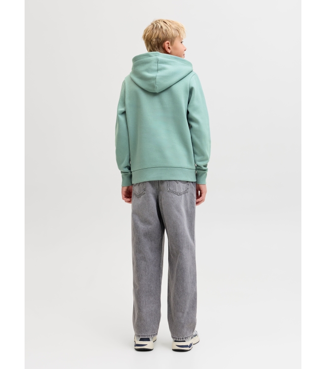 jack & jones junior 12152841 Groen