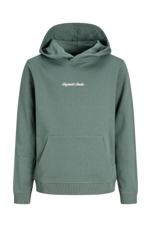 jack & jones junior 12284062 Groen