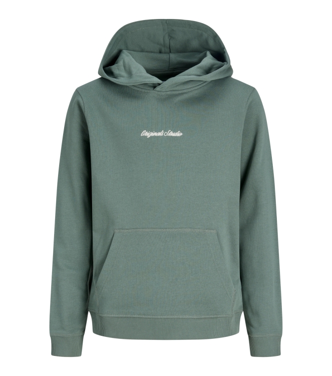 jack & jones junior 12284062 Groen