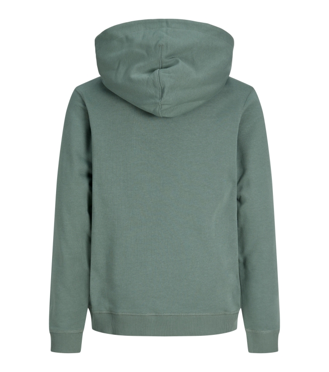 jack & jones junior 12284062 Groen
