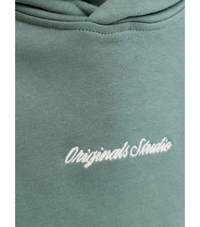 jack & jones junior 12284062 Groen