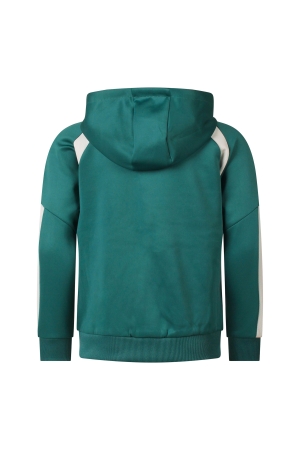 Unlocked 3217403 Z10271 Groen donker