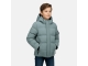 Cars jeans 50257 Groen