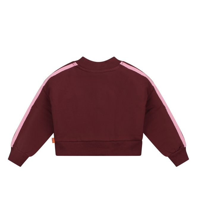 Bakkaboe 3315401 W20159 Rood bordo