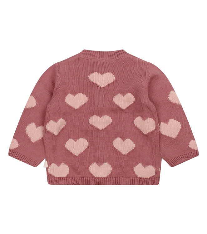 Bakkaboe Newborn 3316302 W20301 Paars mauve