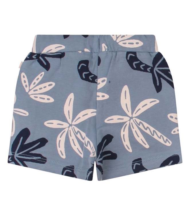 Flinq Newborn 3212203 Z10135 Blauw raf