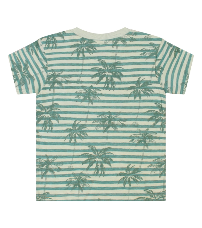 Flinq Wallace Z10408 Groen licht