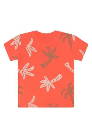 Flinq 3211602 Z10281 Oranje