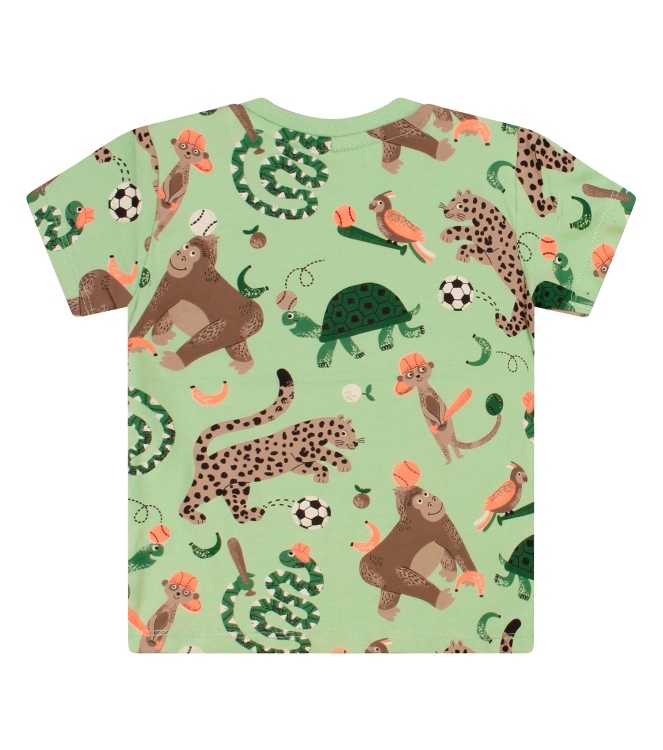 Flinq 3211603 Z10282 Groen licht