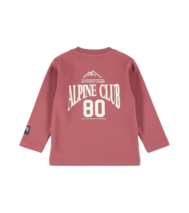 Dirkje M60736-35 Rood midden