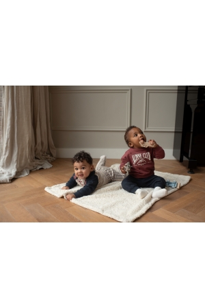 Dirkje M60729-35 Rood midden