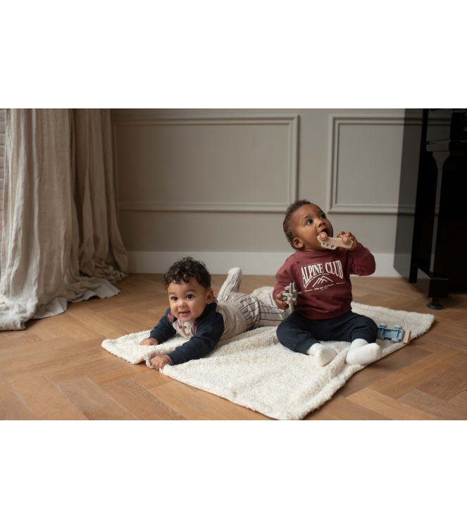 Dirkje M60729-35 Rood midden