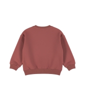 Dirkje M60729-35 Rood midden
