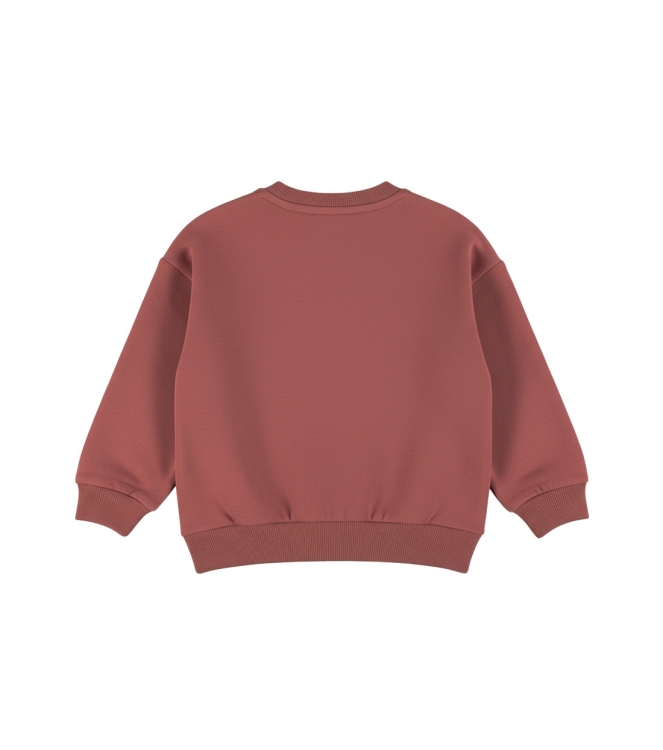 Dirkje M60729-35 Rood midden