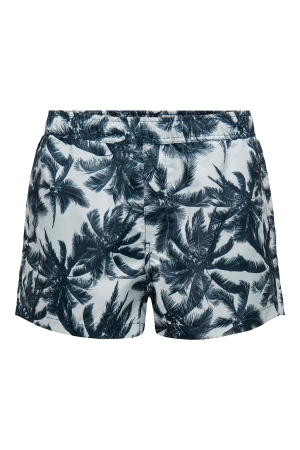 Only and Sons 22026141 Blauw licht