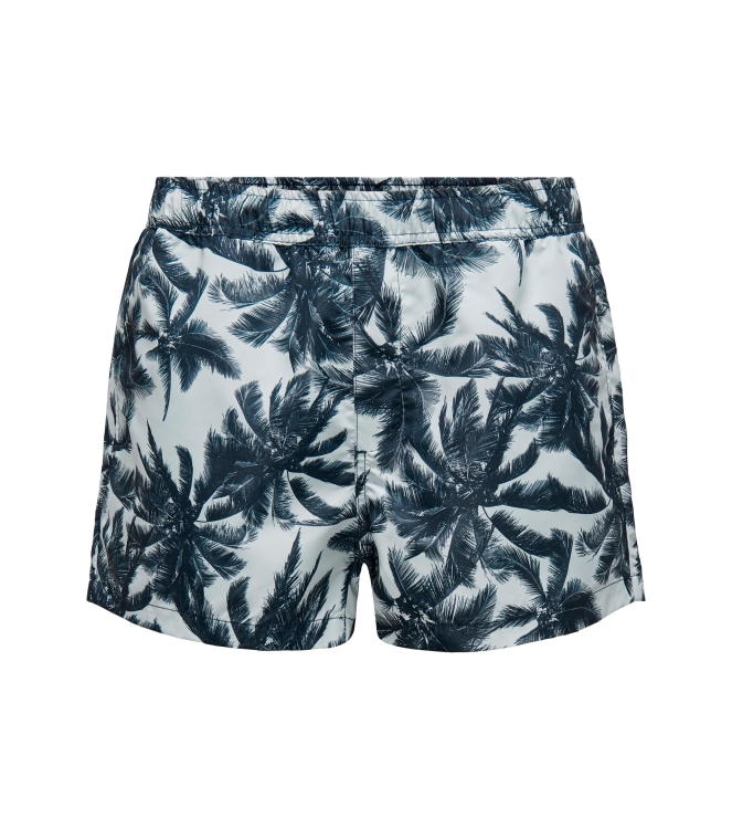 Only and Sons 22026141 Blauw licht