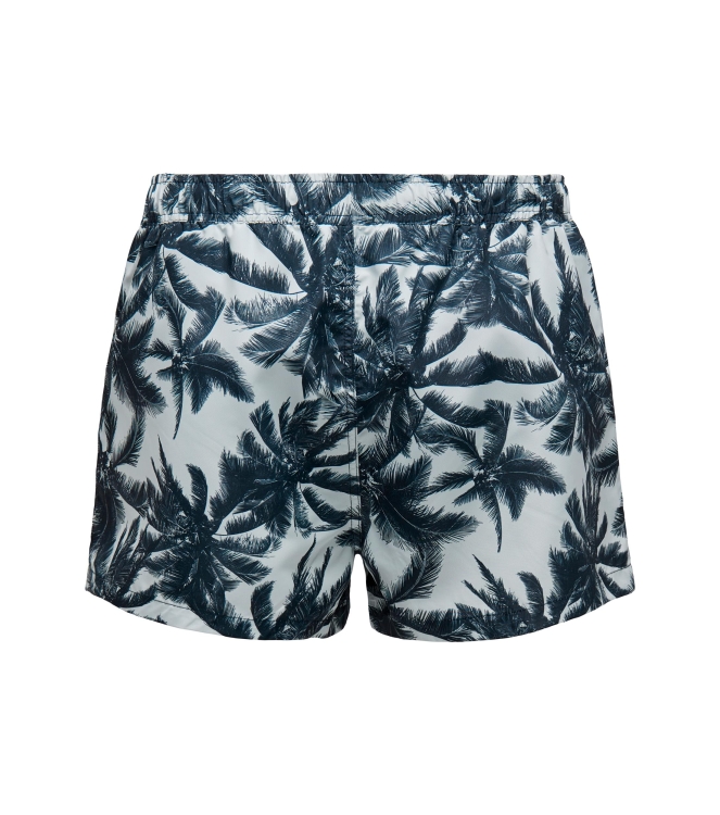 Only and Sons 22026141 Blauw licht
